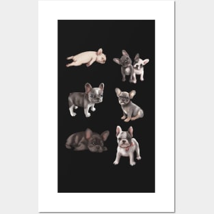 Frenchie puppies Posters and Art